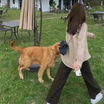 鬼胎